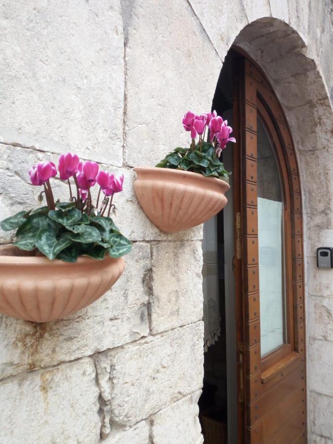 La Chiocciola Assisi Apartment Exterior photo